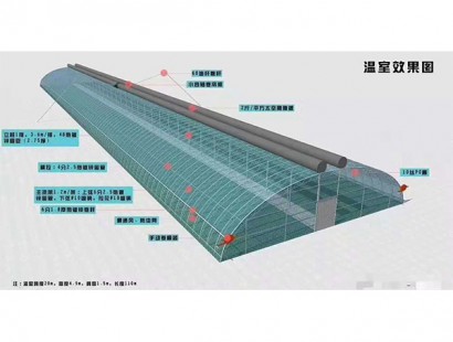 温室效果图